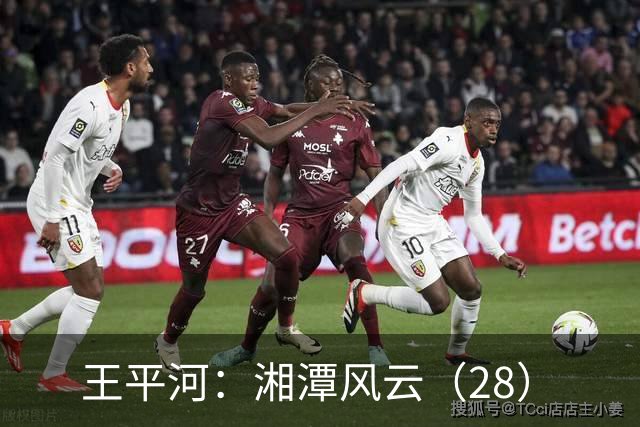王平河:湘潭风云(2/8)